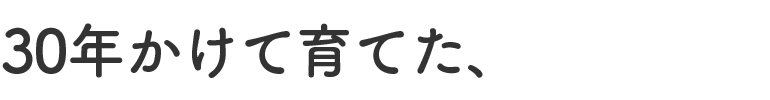 30年かけて育てた、