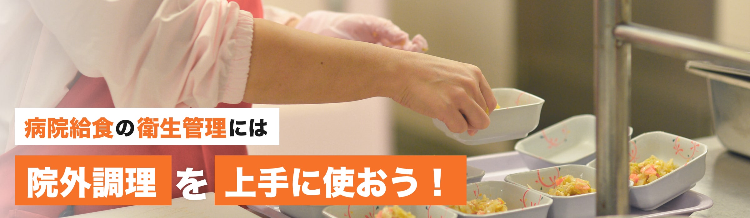 厚生省 コレクション 給食 ノロ対策 食器